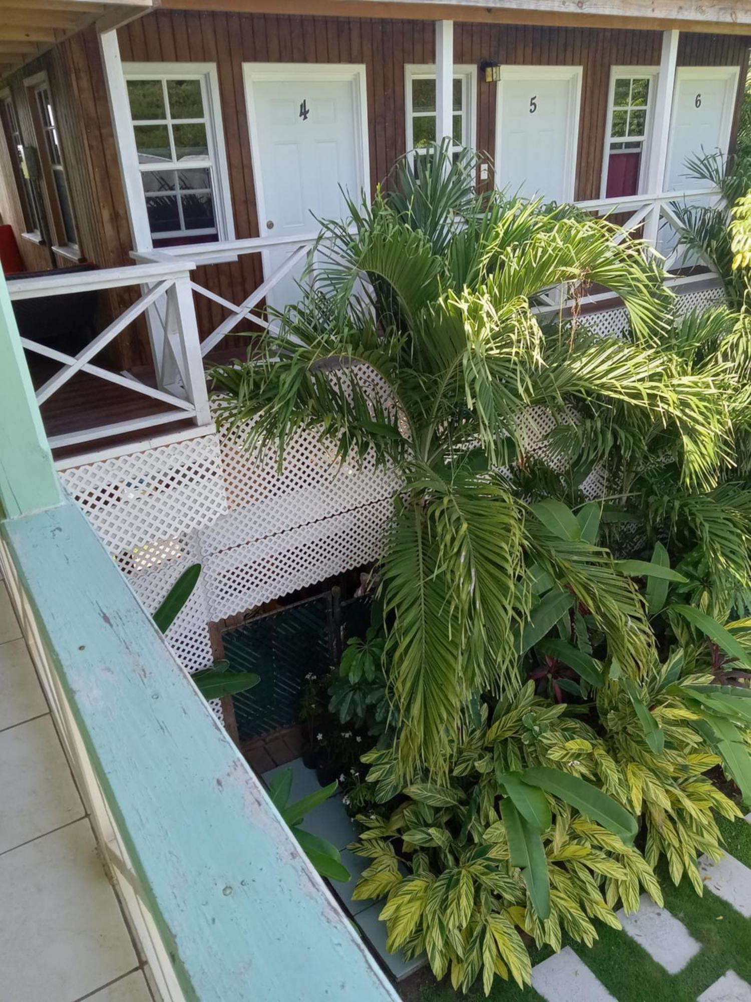 Apartment Unforgetable Gardens Falmouth Harbour Exterior foto