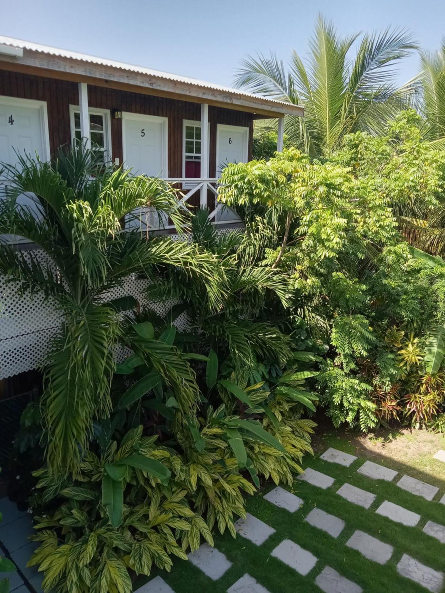 Apartment Unforgetable Gardens Falmouth Harbour Exterior foto